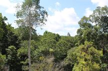 Tikal VIP Exclusive All Inclusive Tour from Belize Border
