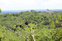 Tikal VIP Exclusive Tour All inclusive from Flores Guatemala 