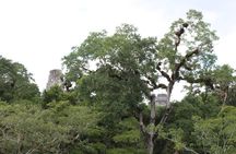 Tikal VIP Exclusive Tour All inclusive from Flores Guatemala 