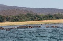 Chobe Day Trip Botswana