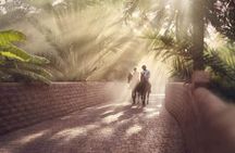 Al Ain City Tour from Dubai