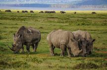 Lake Nakuru National Park:Day Trip from Nairobi