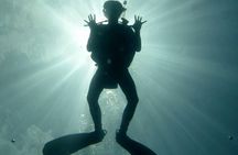 Underwater Scooter Dive (Certified Divers Only) Makena Wailea 