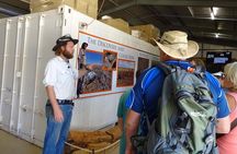 Age of Dinosaurs Museum Half Day Tour with Red Dirt Tours