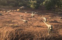 Age of Dinosaurs Museum Half Day Tour with Red Dirt Tours