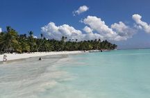 From Punta Cana: Saona Island Full Day For Small Group Catamaran