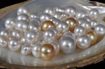 Dampier Peninsula Adventure 4WD Tour from Broome with Optional Return Flight