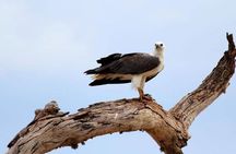 Full Day Private Safari at Yala National Park by La Safari Inn Tours