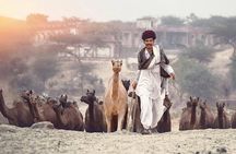 6 Days Golden Triangle Tour with Pushkar : Delhi, Agra and Jaipur