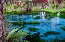 Hobbiton Movie Set tour & Glowworm Cave day tour