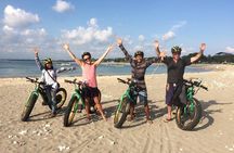 eBike Private Beach Tour Express (2 Hour) 