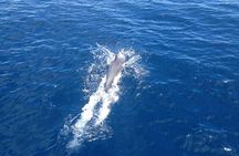 2-Day Halkidiki Sailing Cruise