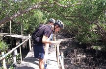 Kuta Beach eBike Private Tour
