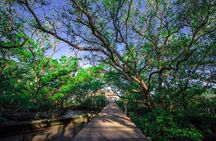 Kuta Beach eBike Private Tour