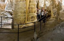 Shore Excursion to Postojna Cave - Slovenia's famous attraction