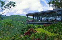  Cameron Highland Day Tour From Kuala Lumpur By Group