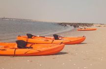 Half Day Kayaking Adventure in Walvis Bay
