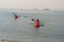 Kayaking and Sandwhich Harbour Dune 4x4 Combo