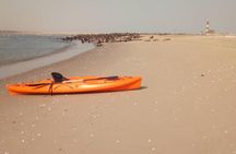 Half Day Kayaking Adventure in Walvis Bay
