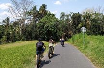Ubud Rice Terraces eBike Private Tour 