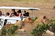 Masai Mara Game Reserve Safari Tour, 4 Days 3 Nights