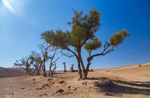 Marrakesh Day Trip From Casablanca With Camel Ride And Lunch At Agafay Desert