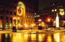 Private New York Christmas Tour with Driver and Guide