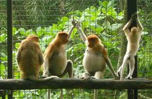 Lok Kawi Wildlife Park