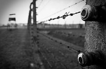 Auschwitz-Birkenau Memorial Entrance Ticket and Guided Tour