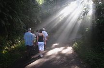 ARMA Museum and Resort 'Golden Hour' Tour with Agung Rai