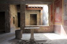  Excavations of Pompeii. Tourist guide and skip-the-line ticket