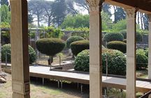  Excavations of Pompeii. Tourist guide and skip-the-line ticket