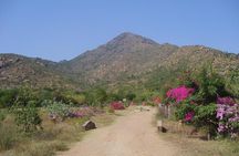 Tiru Arunachala Tours - Tiruvannamalai Tour Guide