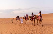 Dubai Desert safari 4x4 Dune Bashing, Sandboarding, Camel Riding, Bbq Dinner 