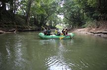 Safari Float