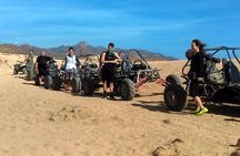 Cabo Dune Buggy- The Off Road Adventure