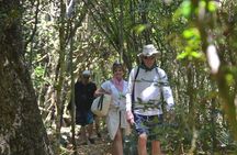Punta Cana Lagoon Tour with Lunch, Boat Cruise, Open Bar