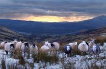 4 hour Private Lake District tour (tour A)