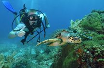 Experience Scuba Diving Under Water Museum and Reef for beginners