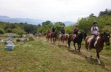 Alanya 3 Hour Horse Back Riding