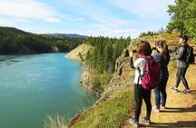 Arctic Day: Hiking Tour | half day