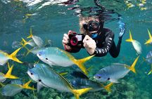 Sunlover Reef Cruises Cairns Great Barrier Reef Experience