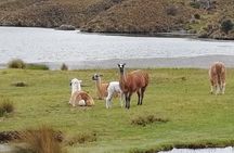 Cajas NP Hiking & Thermal Baths from Cuenca