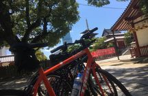 Eat, Drink, Cycle: Osaka Food and Bike Tour