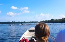 Adventure in the Amazon Jungle 5D/4N at Amazon Mamori lodge 