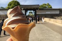 Osaka in a Nutshell: Three hour bike tour