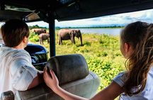 Private Half Day Tour: Udawalawe National Park with Elephant Transit Home Visit