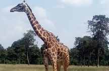 3 Days Camping Safari in Amboseli National Park, Kenya