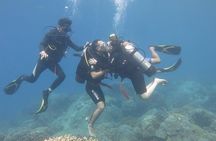 Discover Nha Trang Bay with Scuba Diving Tour