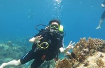 Discover Nha Trang Bay with Scuba Diving Tour
